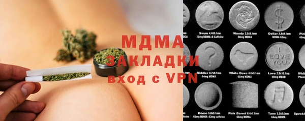 гашик Пестово