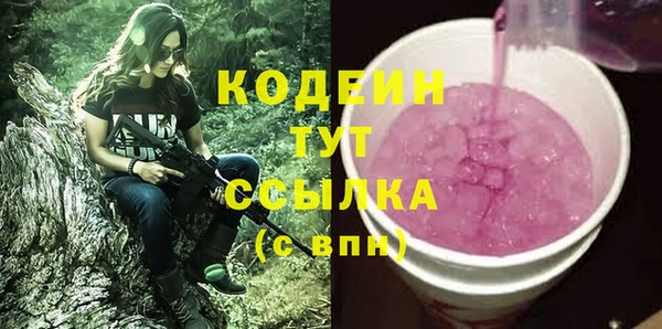 гашик Пестово