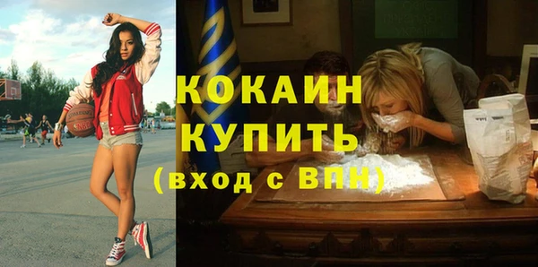 гашик Пестово