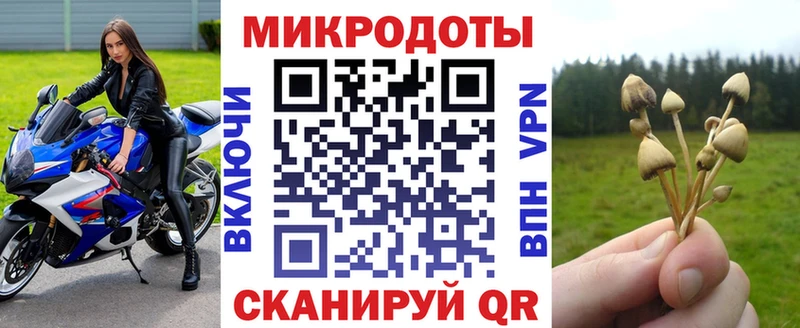маркетплейс состав  Уржум  Псилоцибиновые грибы мицелий  купить наркотик 